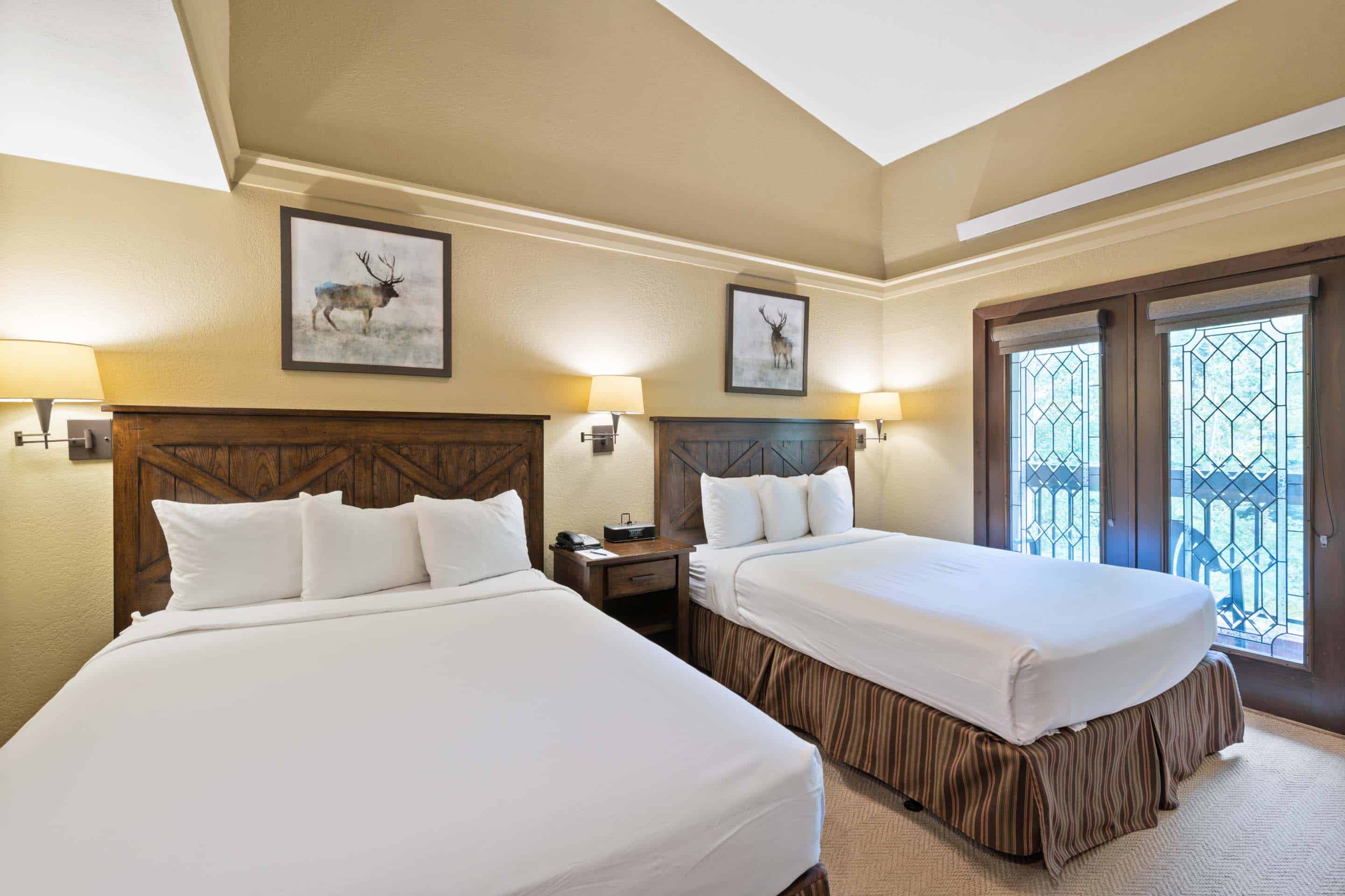 Featured Image - The Charter C215