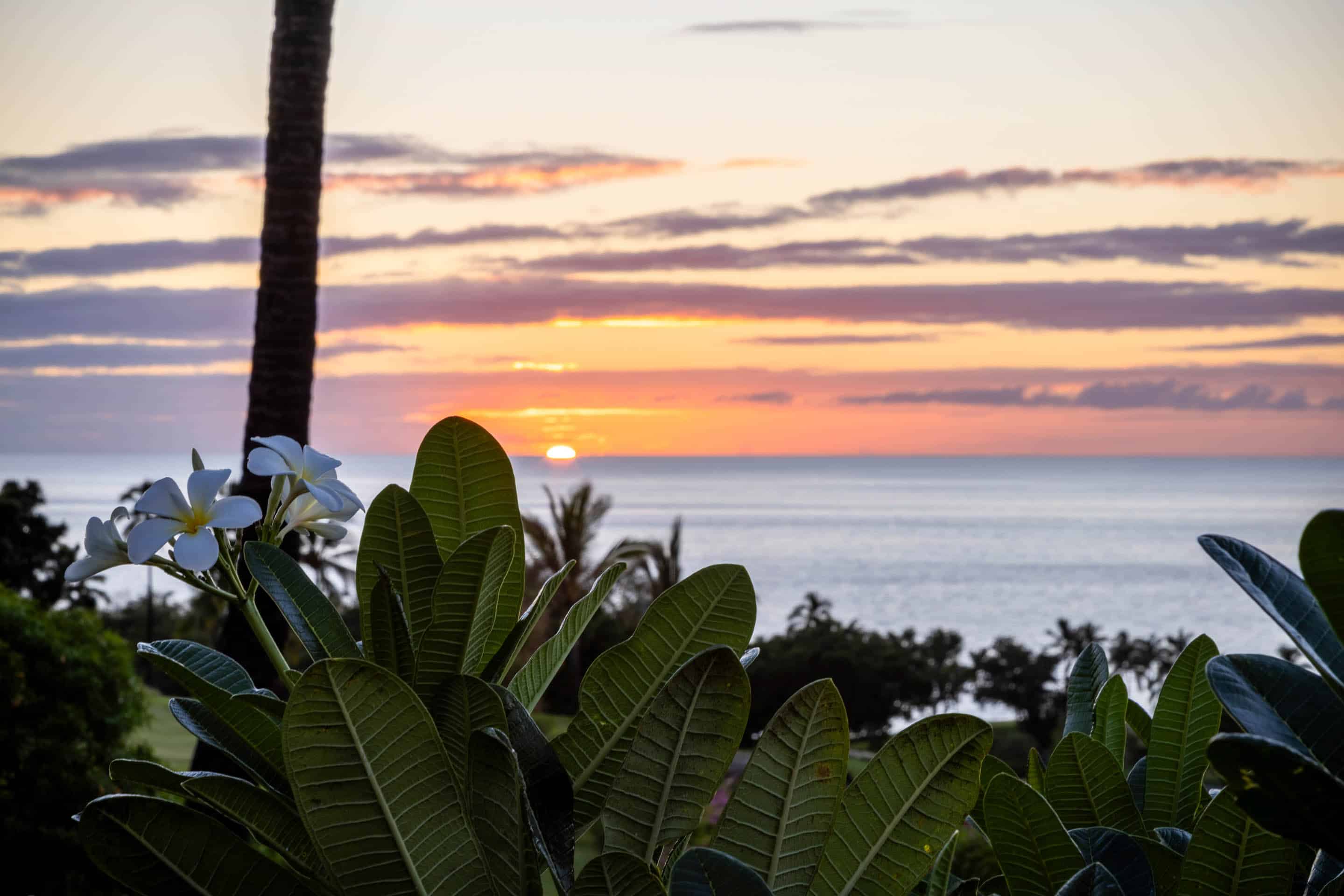 Villas at Mauna Kea #11 Gallery Image 1